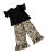 IMG_2755.PNG
